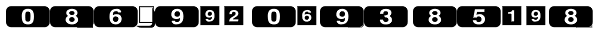 PIXymbols Phone Italic Font