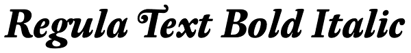 Regula Text Bold Italic Font
