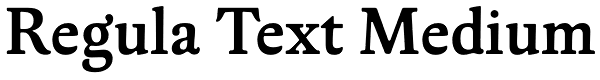 Regula Text Medium Font