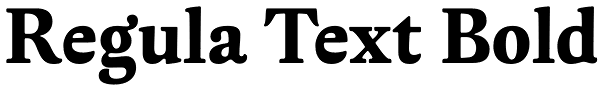 Regula Text Bold Font