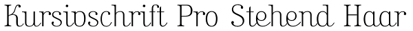 Kursivschrift Pro Stehend Haar Font