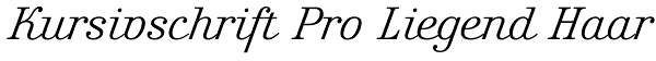 Kursivschrift Pro Liegend Haar Font