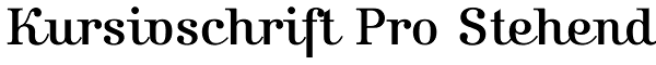 Kursivschrift Pro Stehend Font