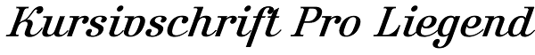 Kursivschrift Pro Liegend Font