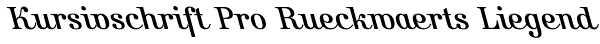 Kursivschrift Pro Rueckwaerts Liegend Font