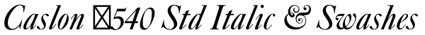 Caslon #540 Std Italic & Swashes Font