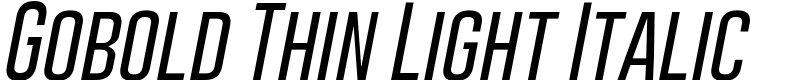 Gobold Thin Light Italic Font