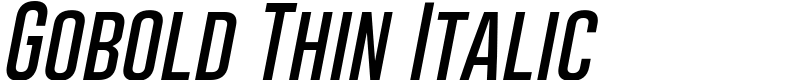 Gobold Thin Italic Font