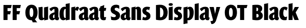 FF Quadraat Sans Display OT Black Font