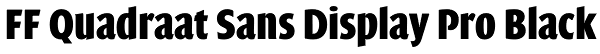FF Quadraat Sans Display Pro Black Font