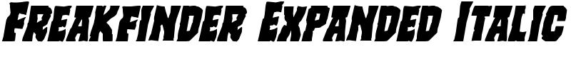 Freakfinder Expanded Italic Font