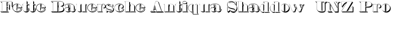 Fette Bauersche Antiqua Shaddow UNZ Pro Font