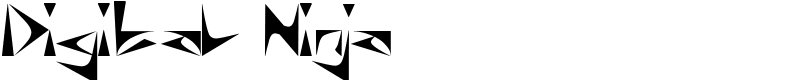 Digital Ninja Font