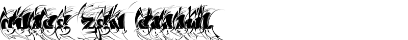 CHASE ZEN SPRAWL Font