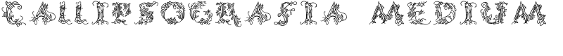 CalliPsoGrafia Medium Font