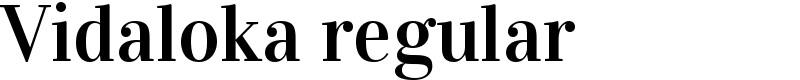 Vidaloka regular Font