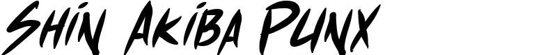 Shin Akiba Punx Font