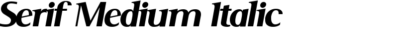 Serif Medium Italic Font