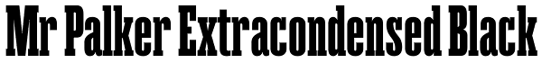 Mr Palker Extracondensed Black Font
