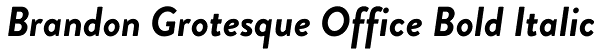 Brandon Grotesque Office Bold Italic Font