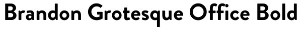 Brandon Grotesque Office Bold Font