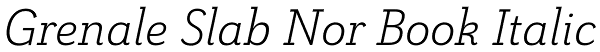 Grenale Slab Nor Book Italic Font