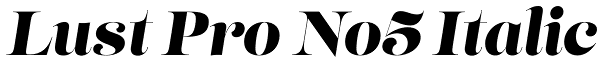 Lust Pro No5 Italic Font