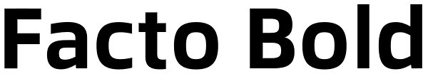 Facto Bold Font