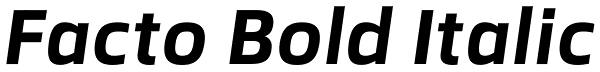 Facto Bold Italic Font