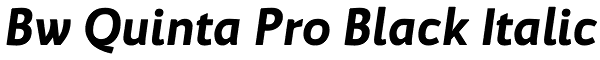 Bw Quinta Pro Black Italic Font