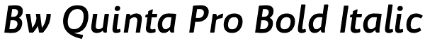 Bw Quinta Pro Bold Italic Font