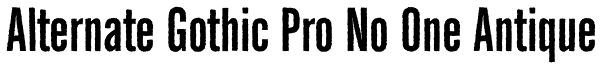 Alternate Gothic Pro No One Antique Font