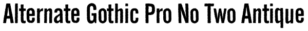 Alternate Gothic Pro No Two Antique Font
