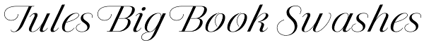 Jules Big Book Swashes Font