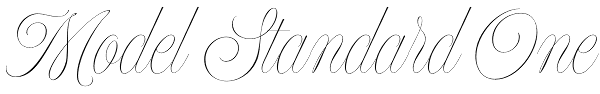 Model Standard One Font