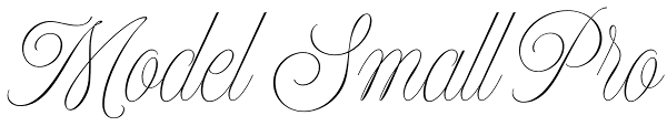 Model Small Pro Font