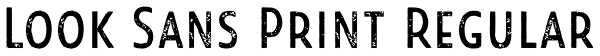 Look Sans Print Regular Font
