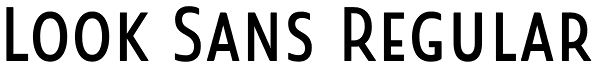 Look Sans Regular Font