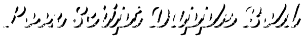 Look Script Dapple Bold Font