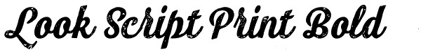 Look Script Print Bold Font