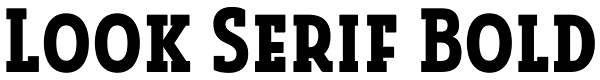 Look Serif Bold Font