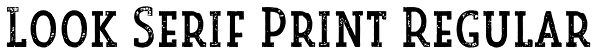 Look Serif Print Regular Font
