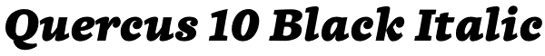 Quercus 10 Black Italic Font