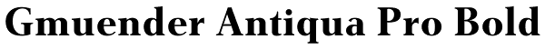 Gmuender Antiqua Pro Bold Font