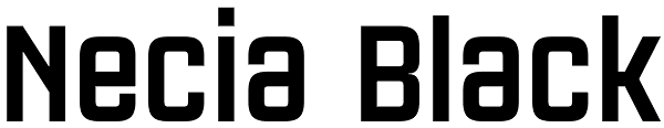Necia Black Font