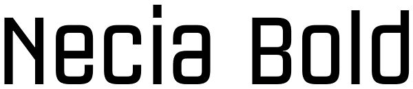 Necia Bold Font