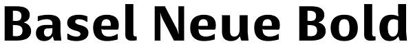 Basel Neue Bold Font