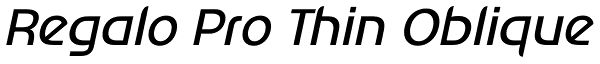 Regalo Pro Thin Oblique Font
