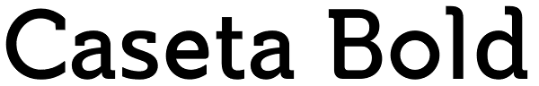 Caseta Bold Font