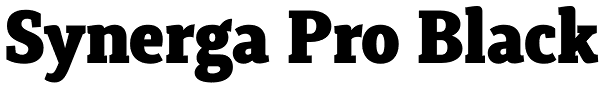 Synerga Pro Black Font